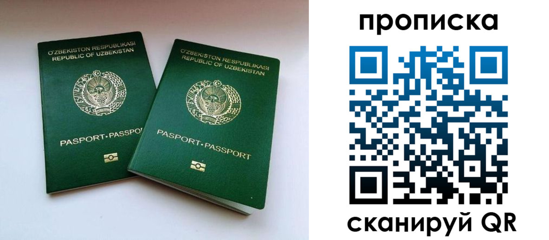 прописка поиск в Коряжме